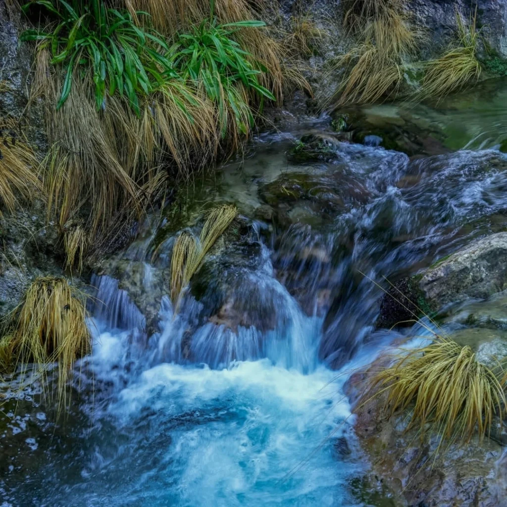 5 Resim ve Videolar - image 10